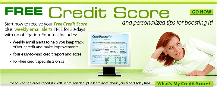Year Free Credit Report